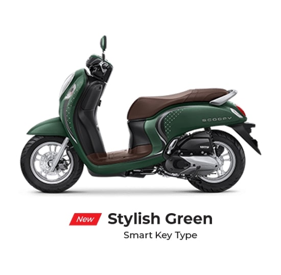 Stylish Green